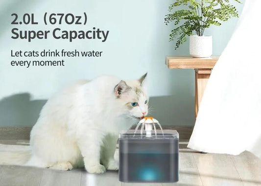 2L Small Pet Water Fountain For Kitten And Small Dogs